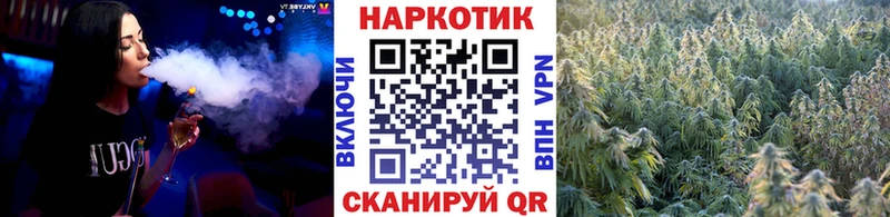 Наркошоп купить A-PVP  Бошки Шишки  Мефедрон  Галлюциногенные грибы  Гашиш  Олонец