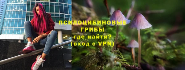 гашик Лихославль
